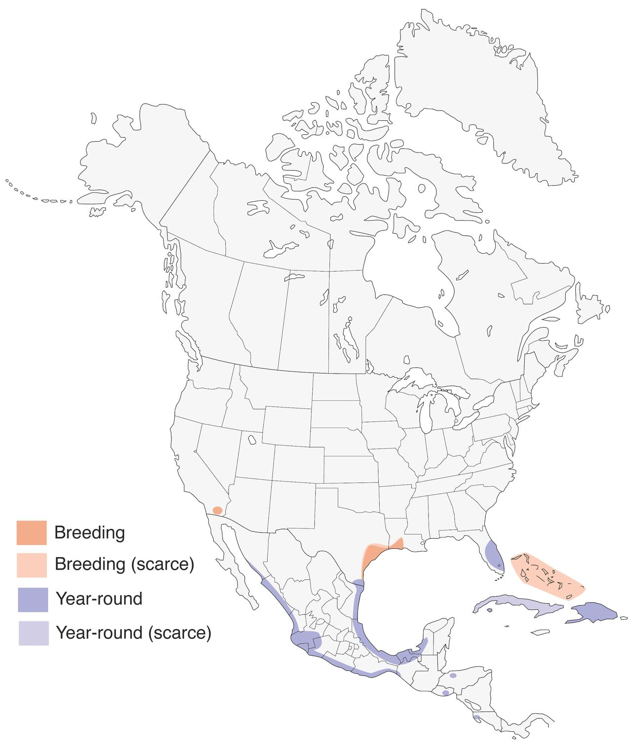 Fulvous Whistling-Duck Range Map