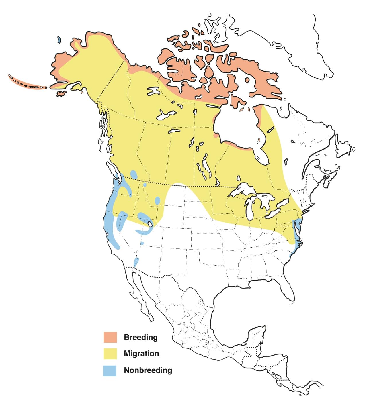 Tundra Swan Range Map