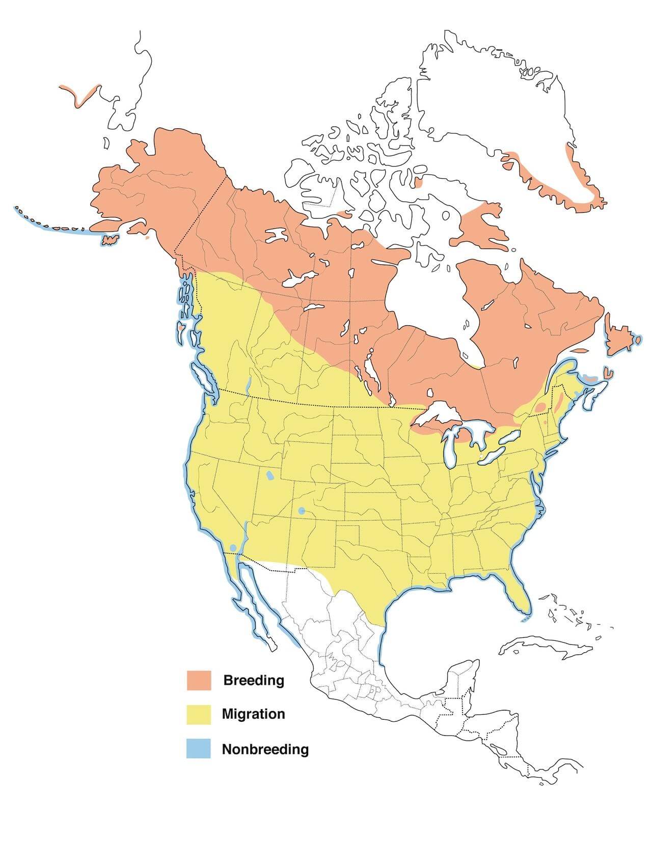 Red-breasted Merganser Range Map