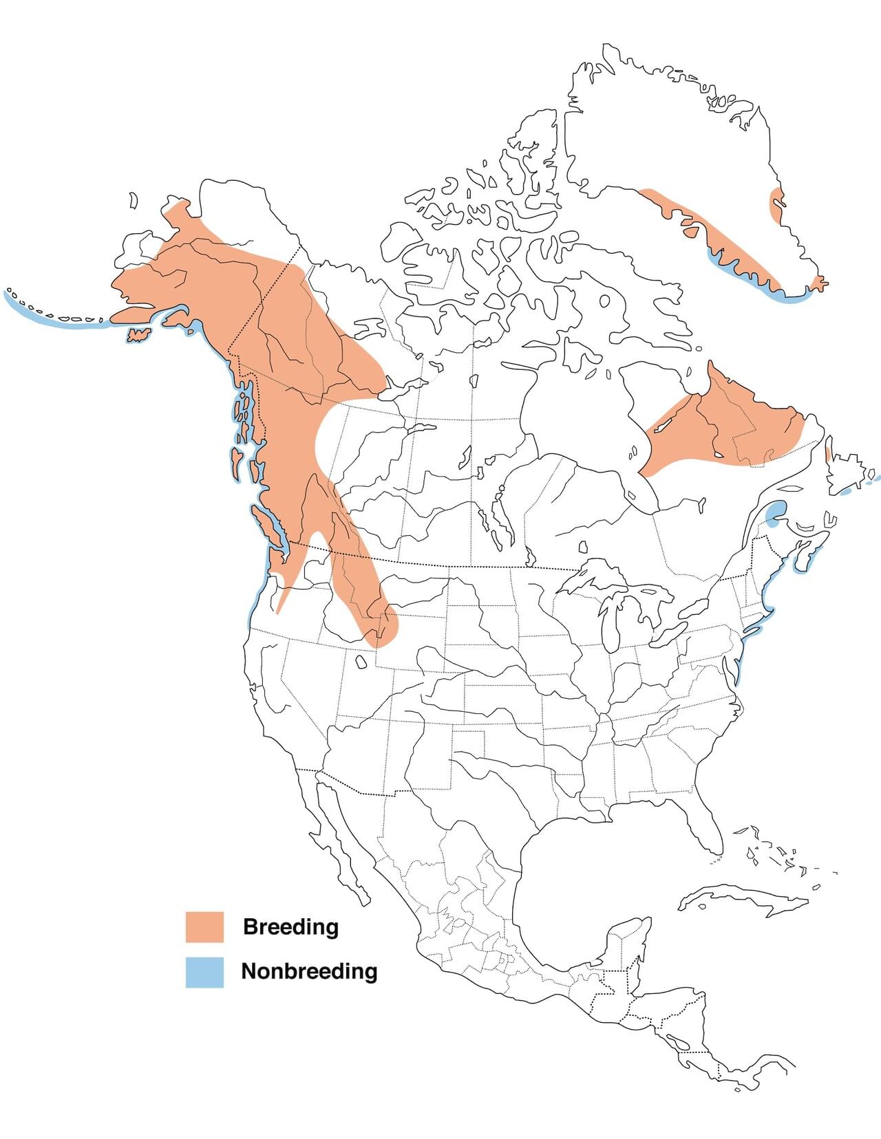 Harlequin Duck Range Map
