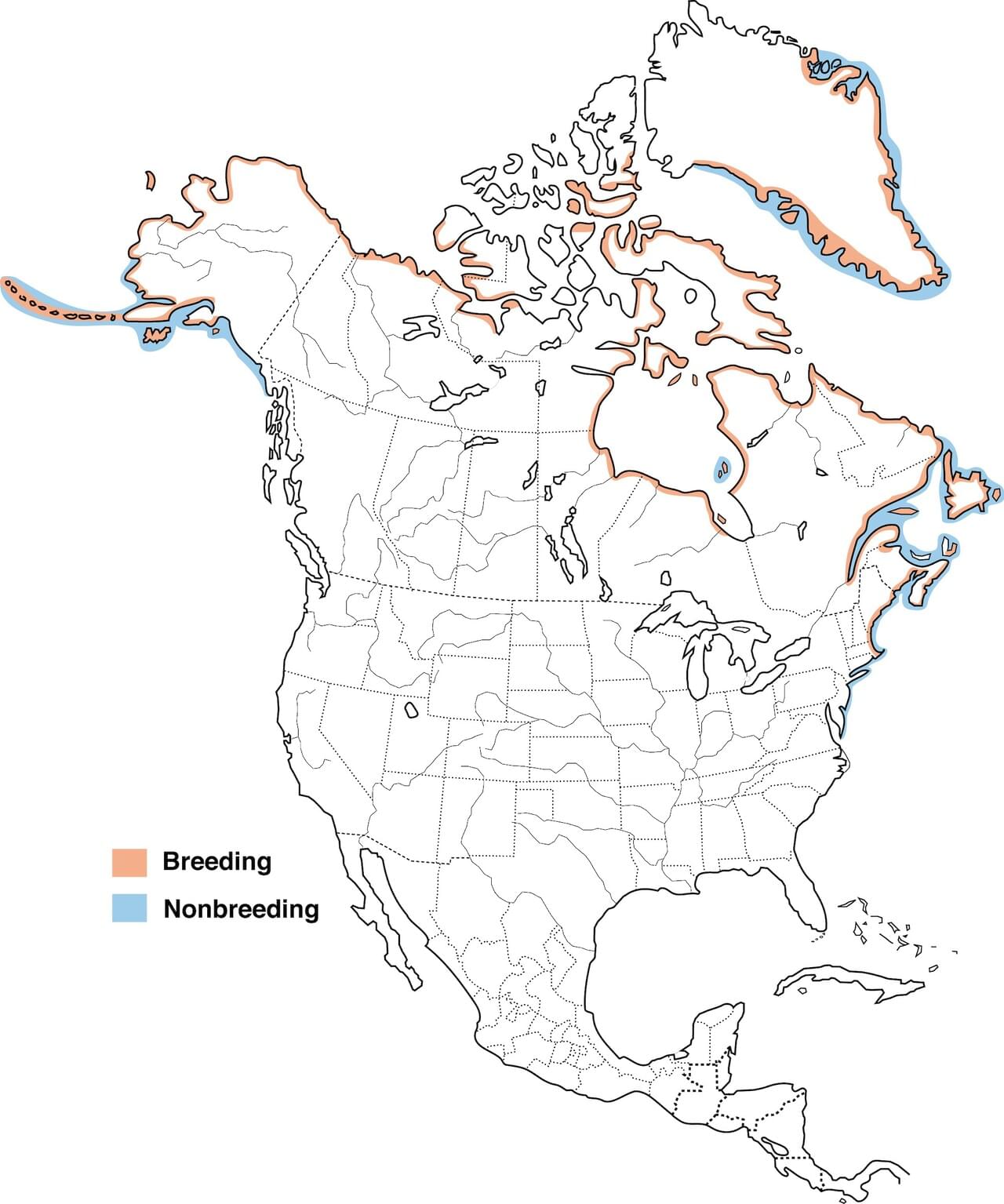 Range Map for Common Eider