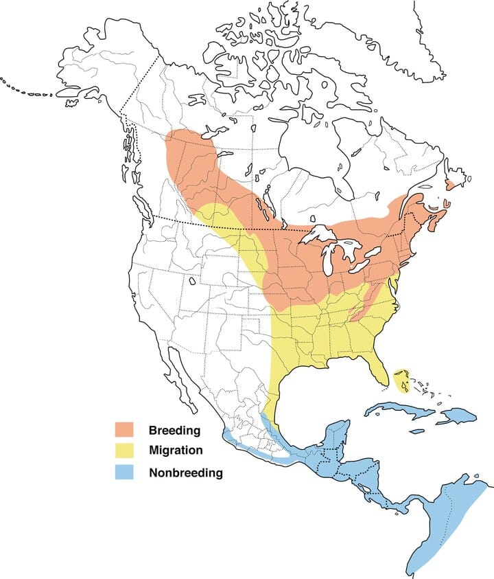 Rose Breasted Grosbeak Range Map All About Birds Cornell Lab Of