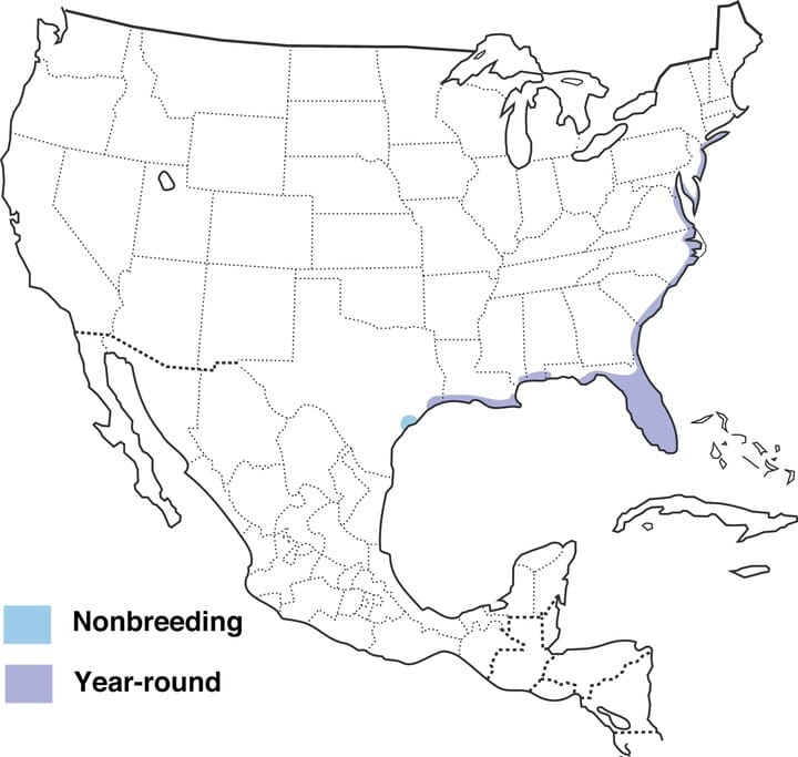 Range Map for Boat-tailed Grackle