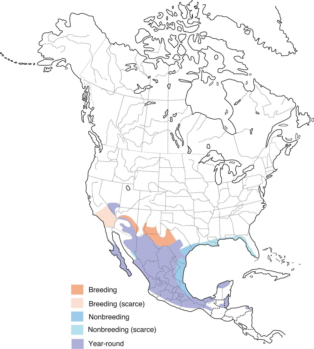 Range Map for Vermilion Flycatcher