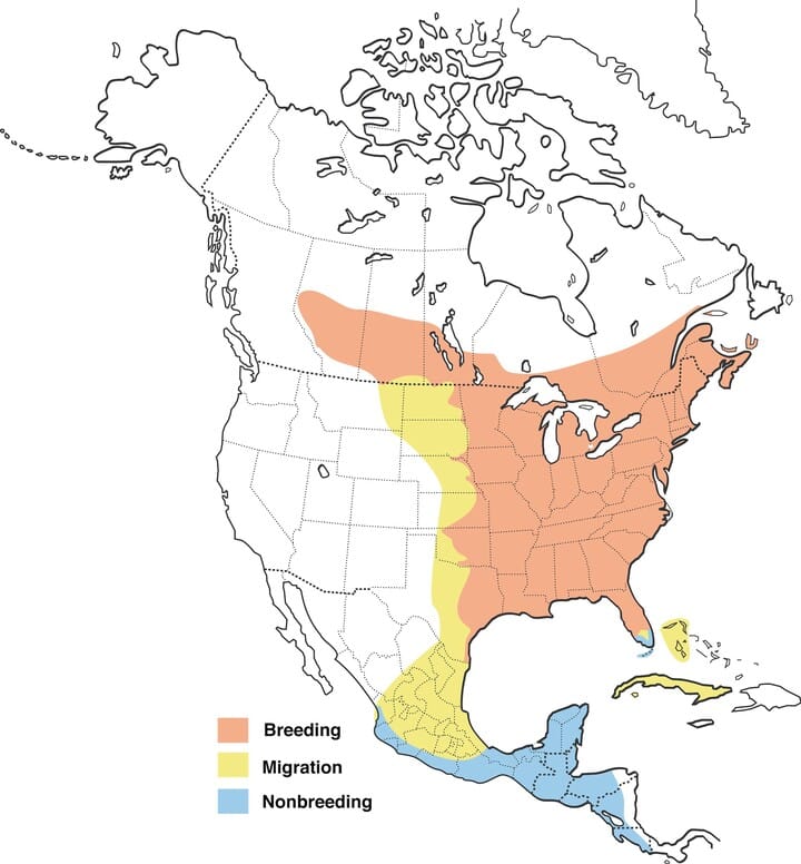 Hummingbird Migration Chart