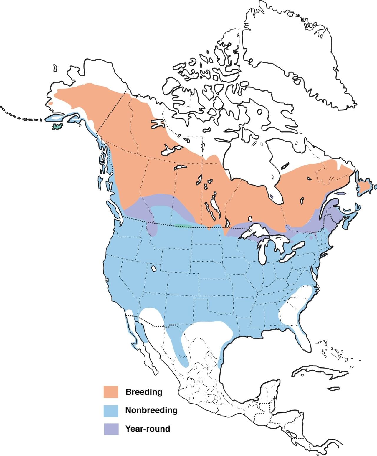 Common Goldeneye Range Map