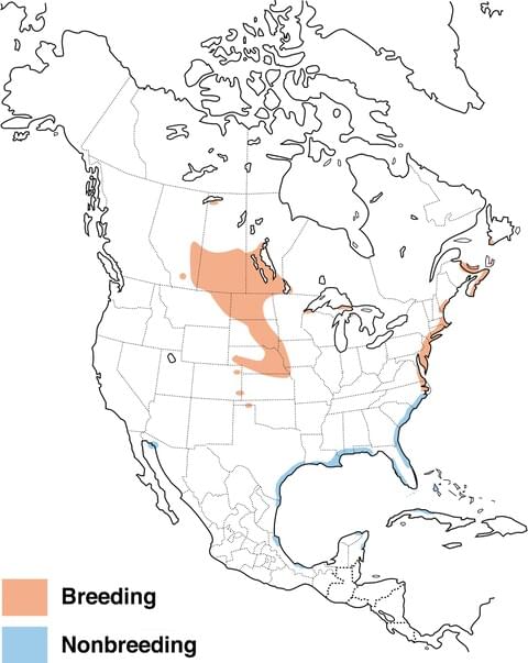 image of range map for Piping Plover
