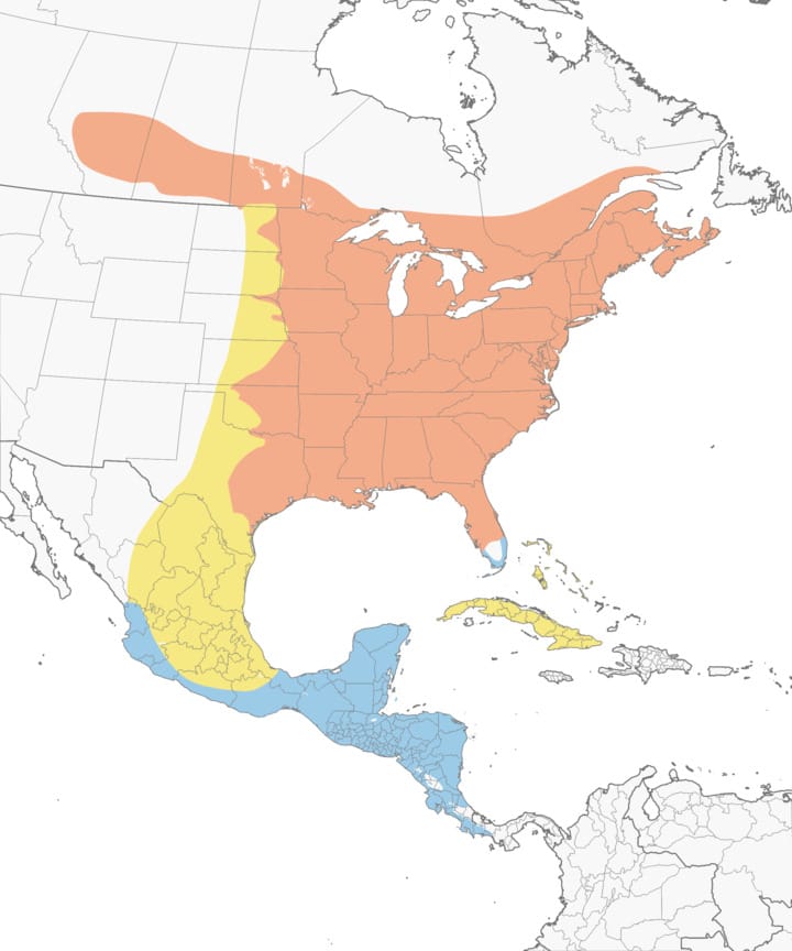 Ruby-throated Hummingbird Range Map, All About Birds, Cornell Lab