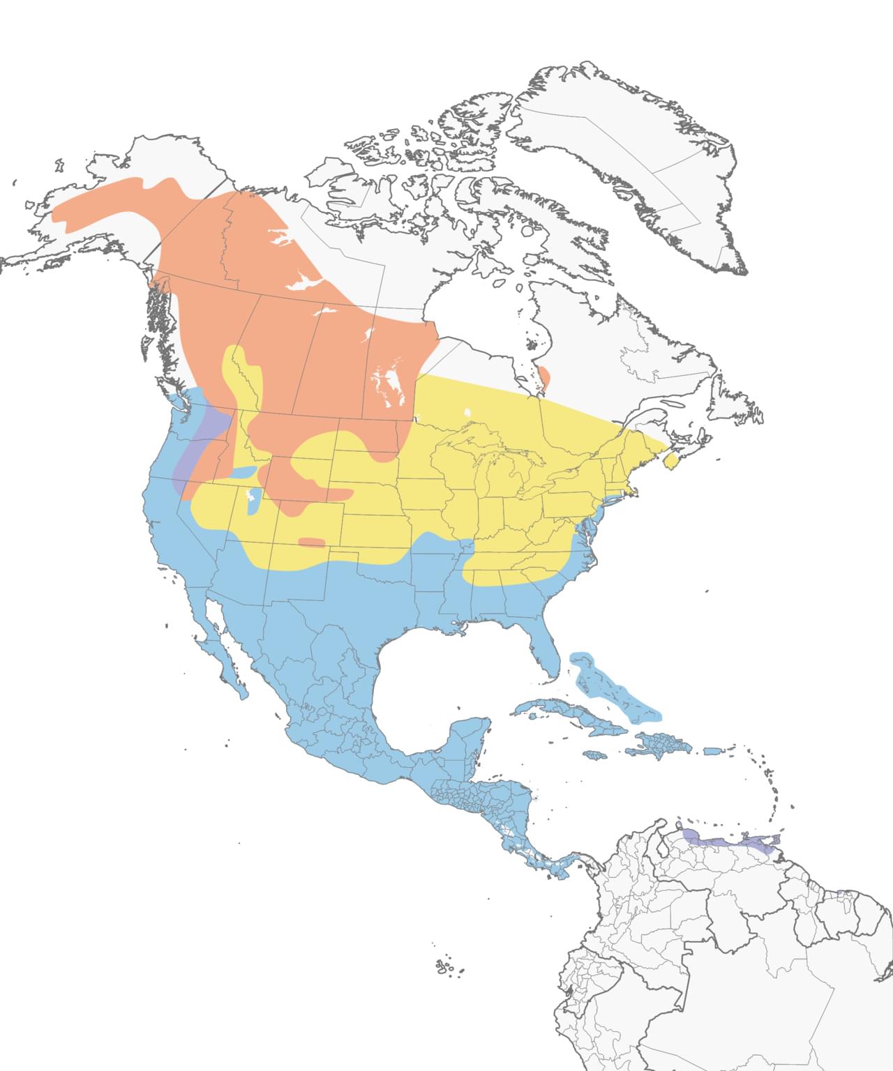 Lesser Scaup Range Map