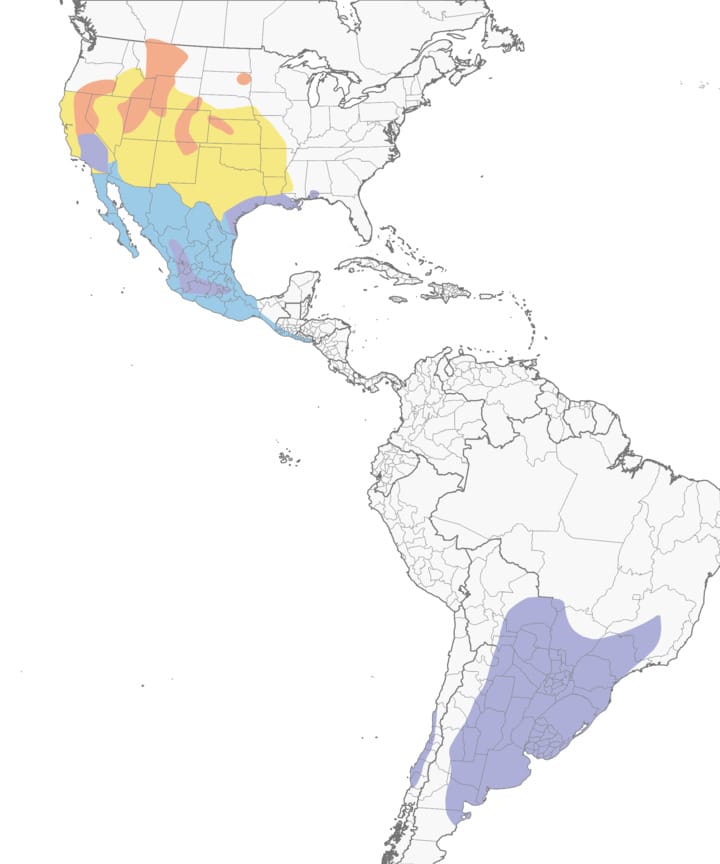 image of range map for White-faced Ibis