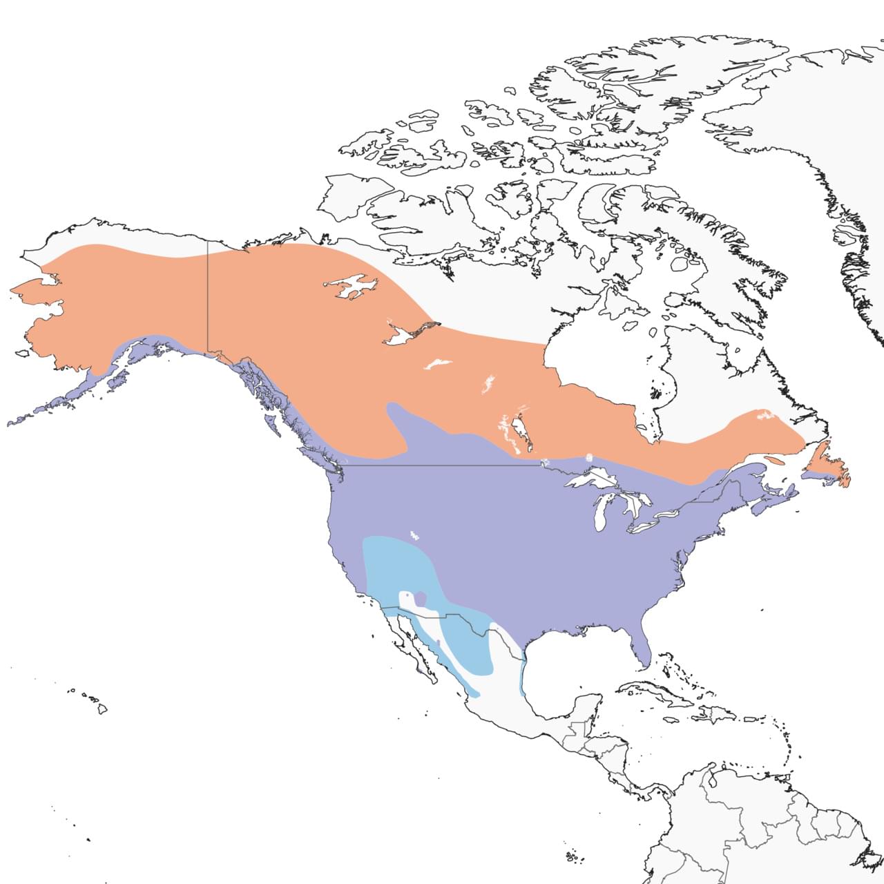 Range Map for Bald Eagle