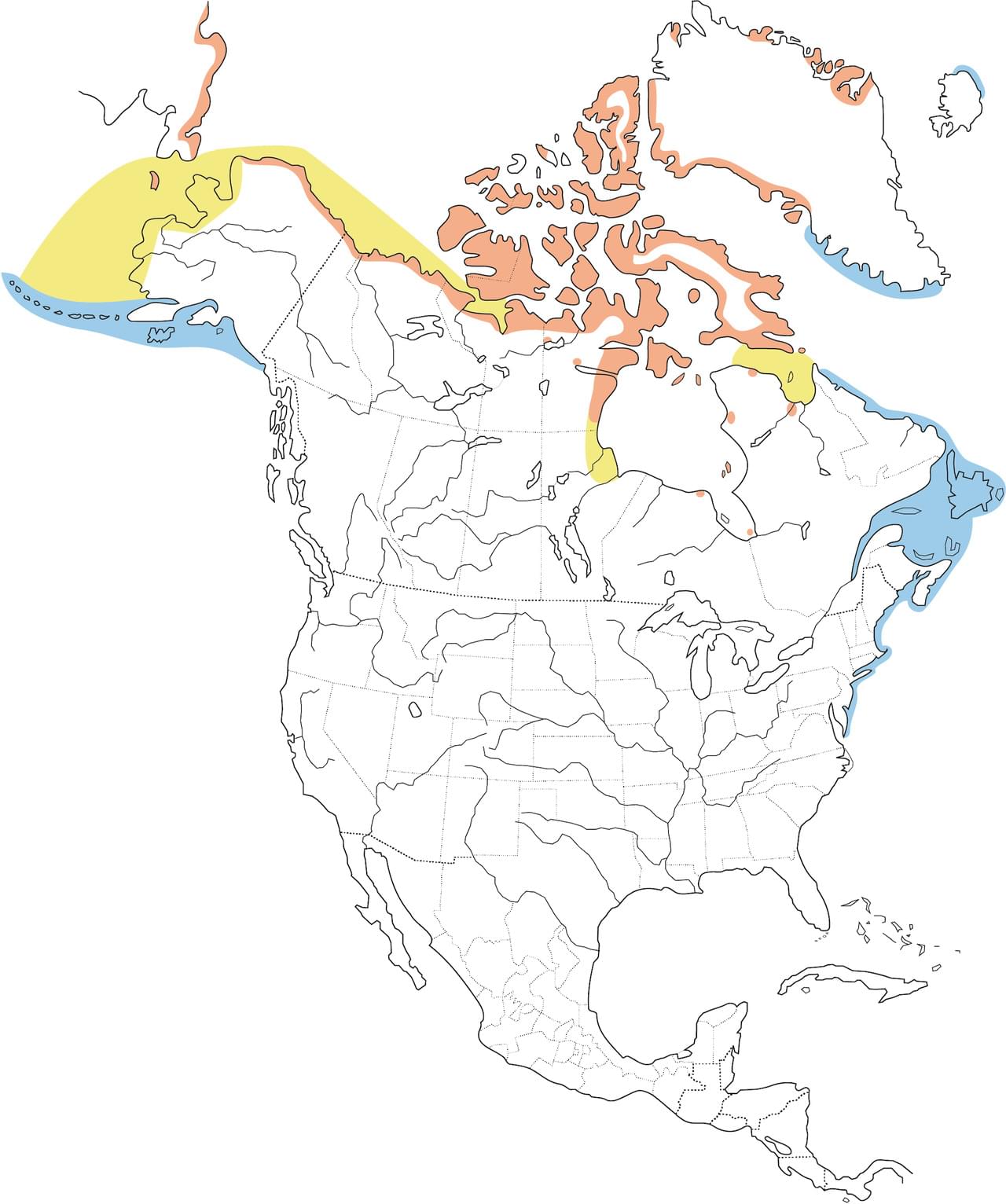 King Eider Range Map