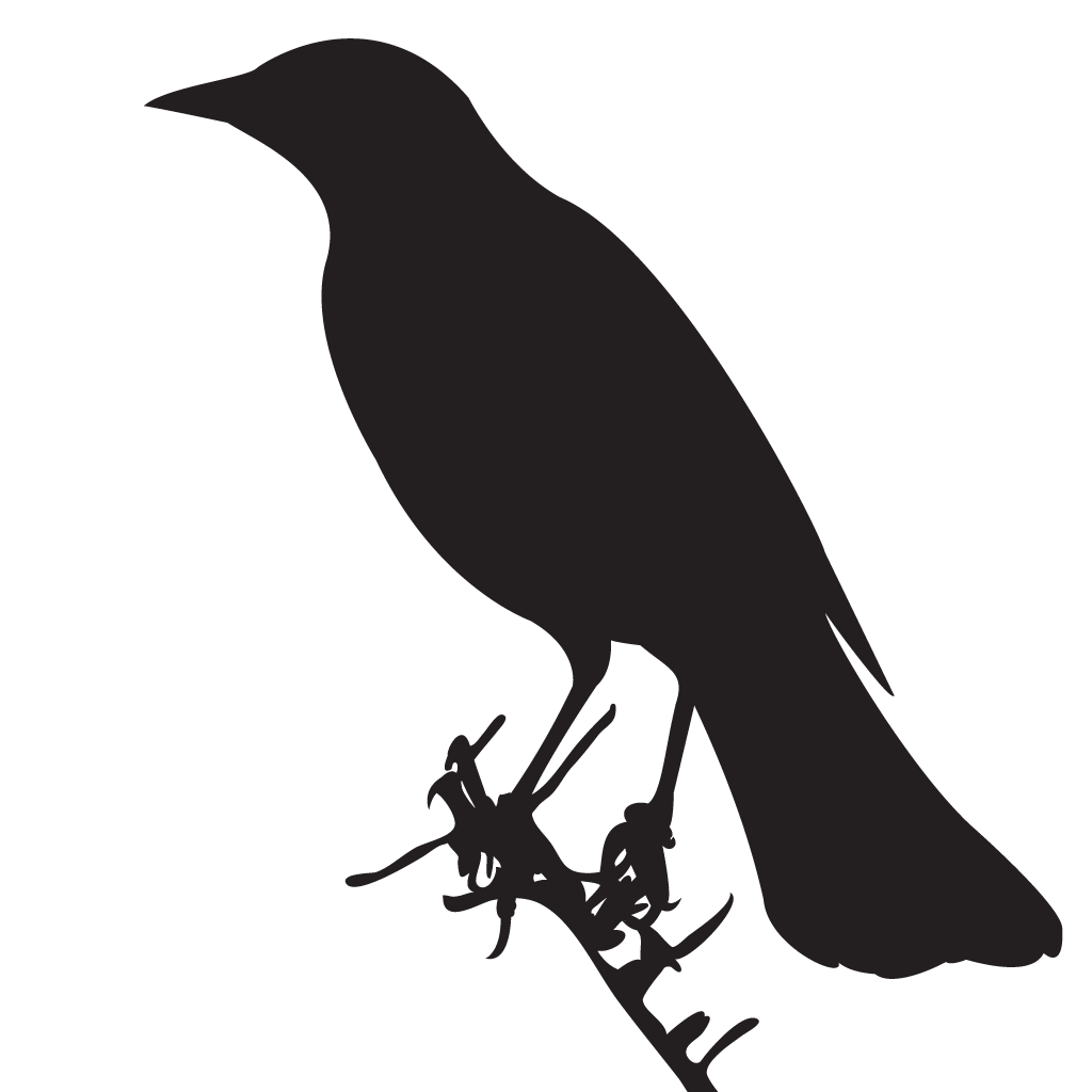 Silhouette Blackbirds