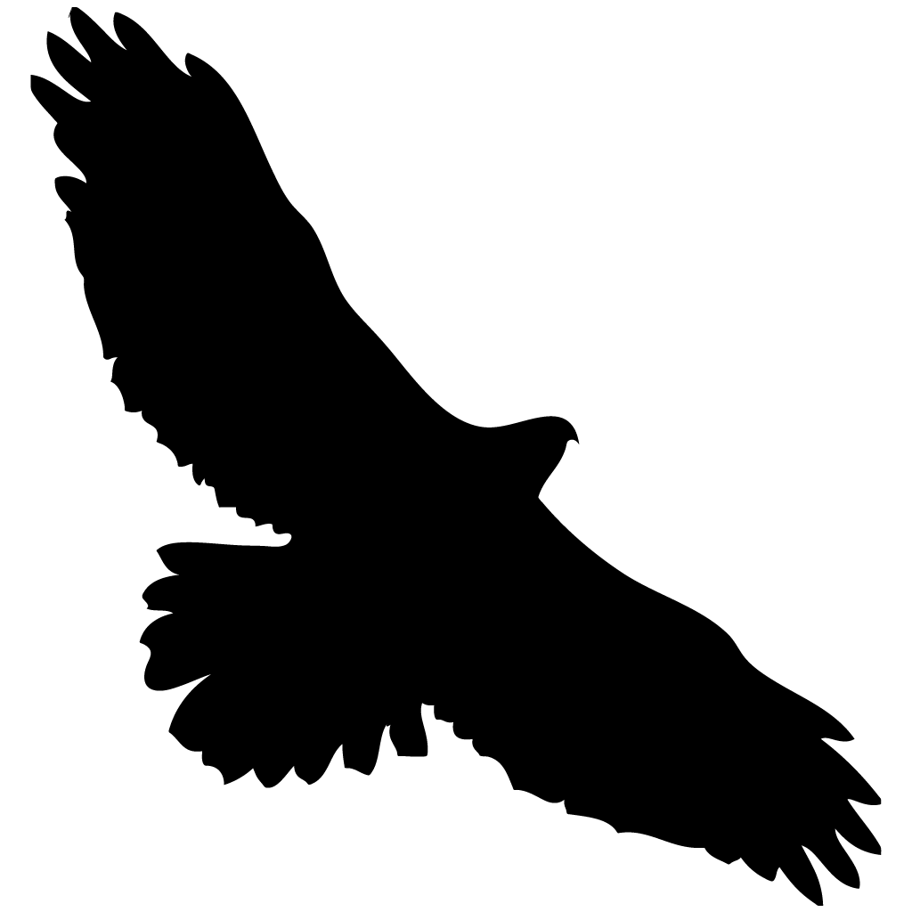Silhouette Hawks