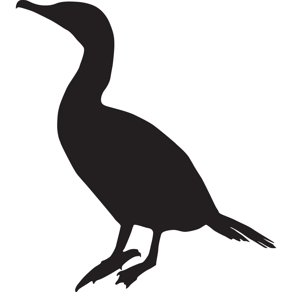 Silhouette Cormorants