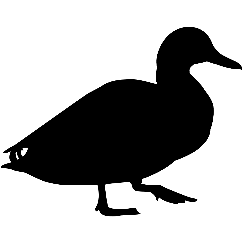 Silhouette Ducks