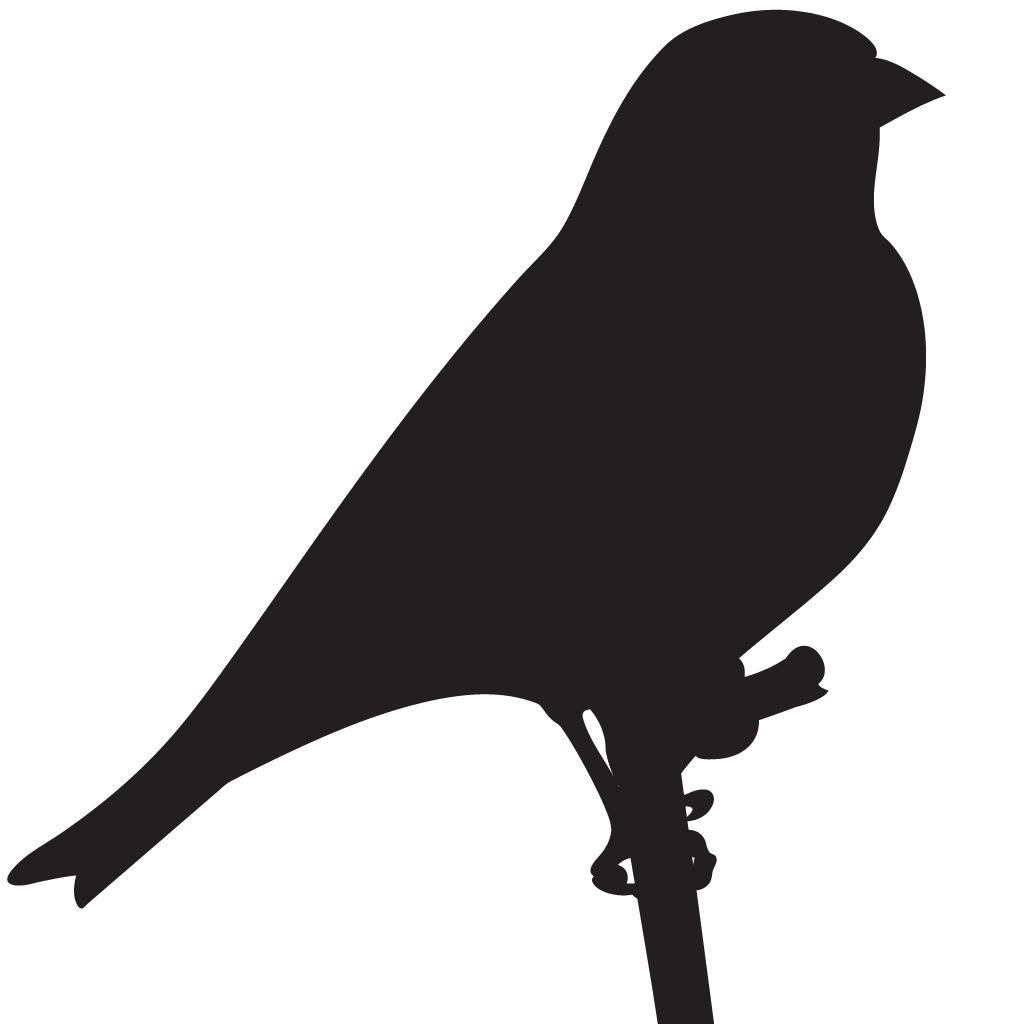 Silhouette Finches