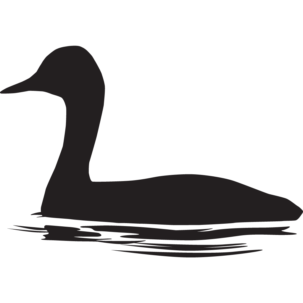 Silhouette Grebes
