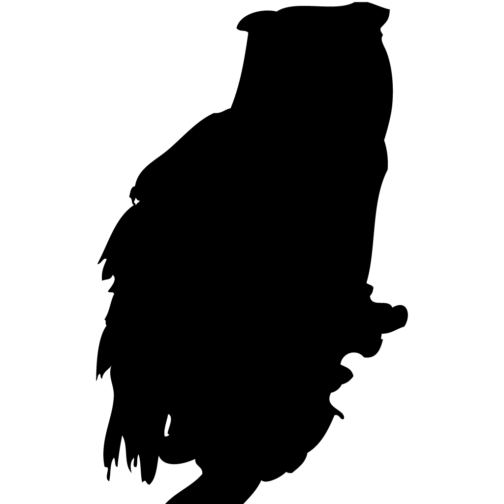 Silhouette Owls