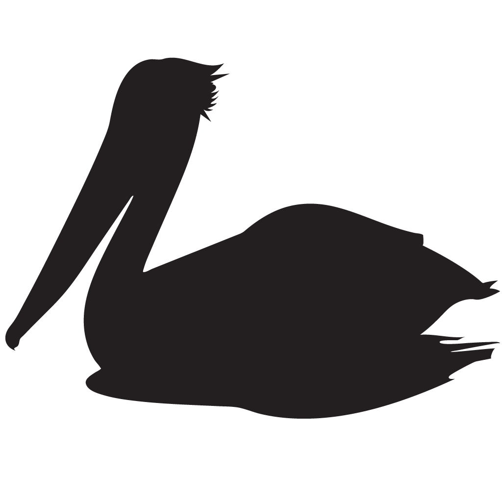 Silhouette Pelicans