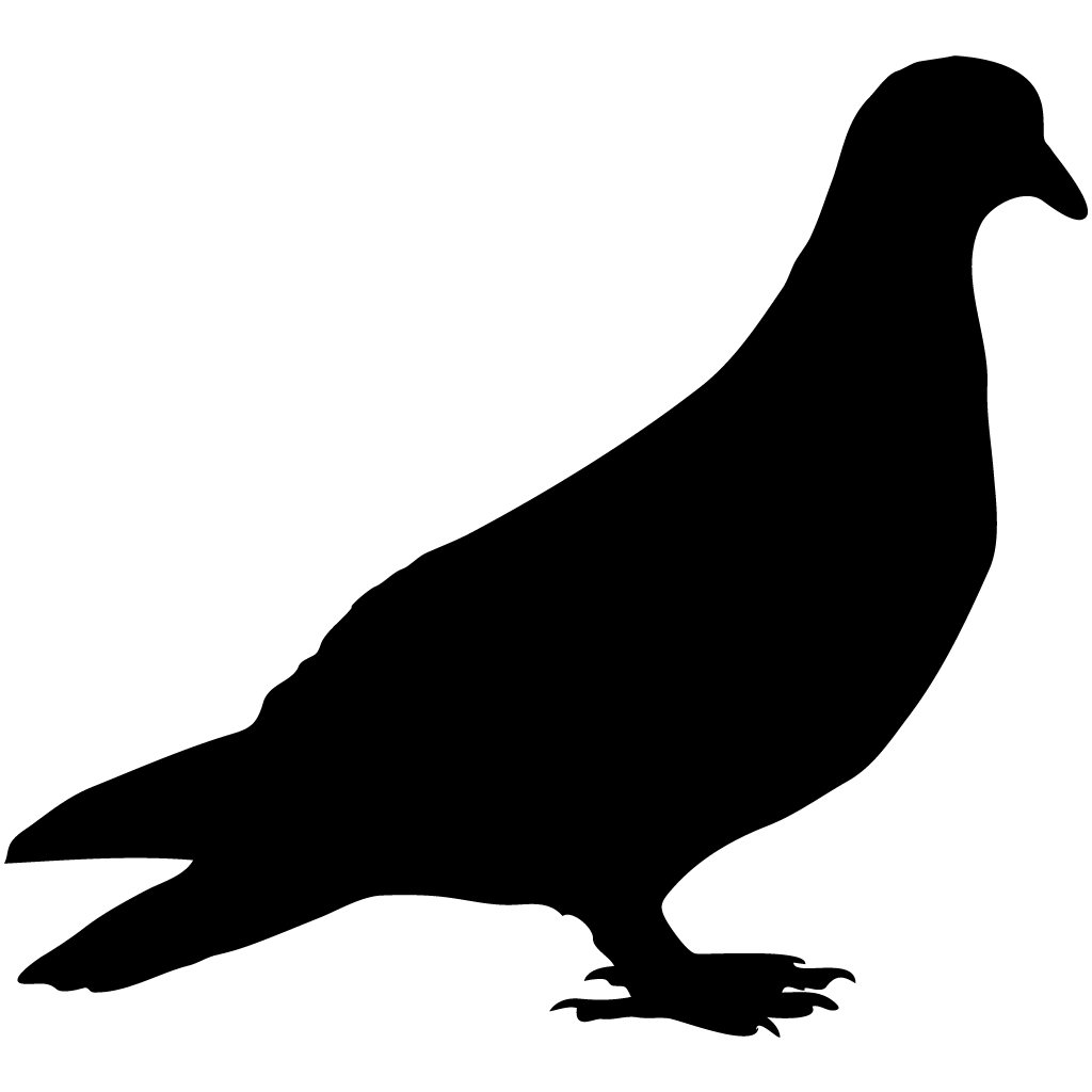 Silhouette Pigeons