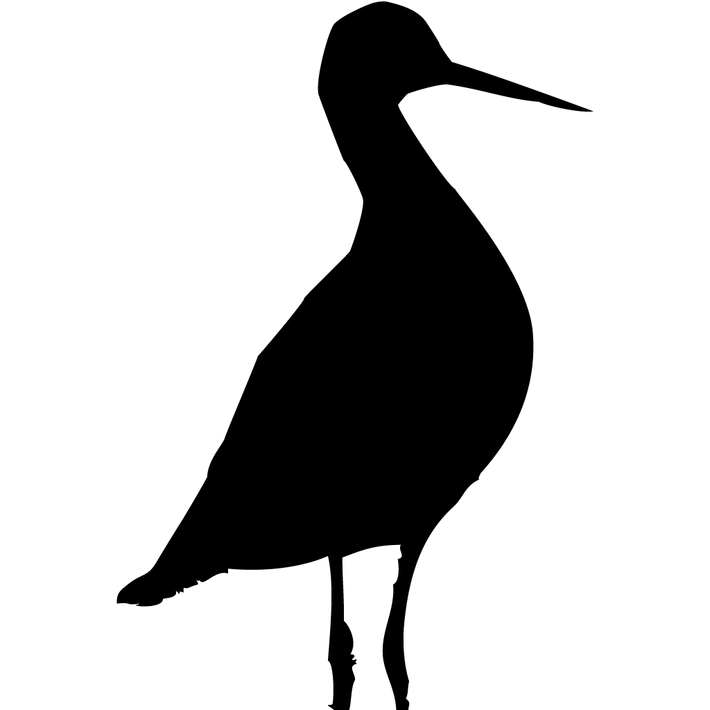 Silhouette Shorebirds