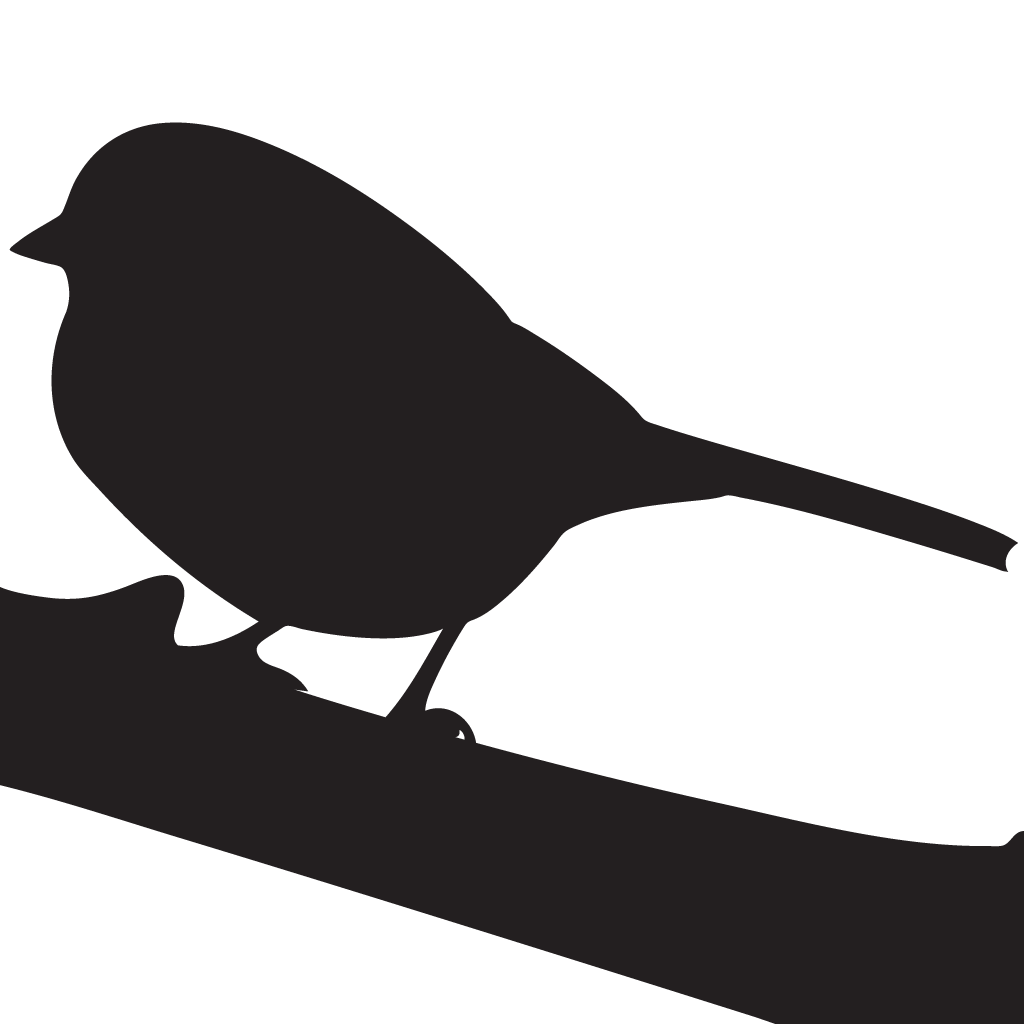 Silhouette Sparrows