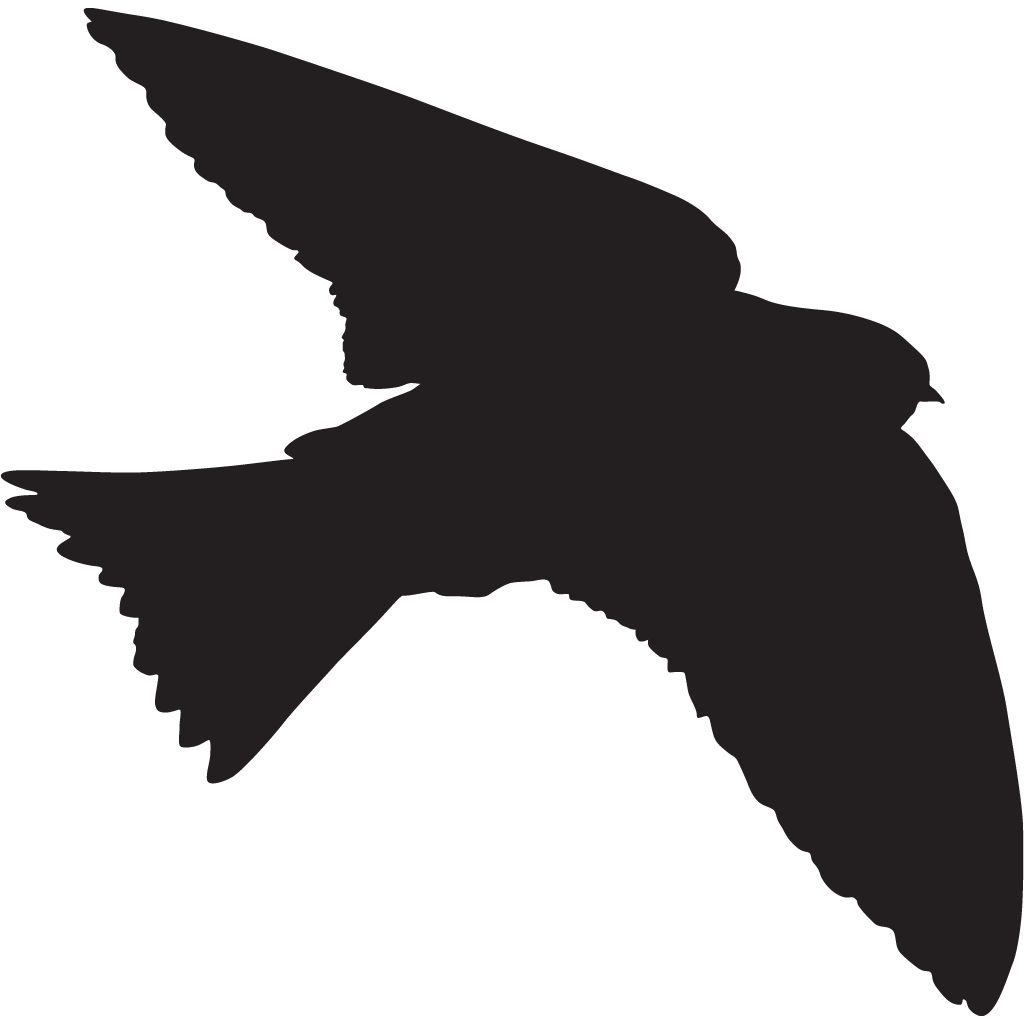 Silhouette Swallows