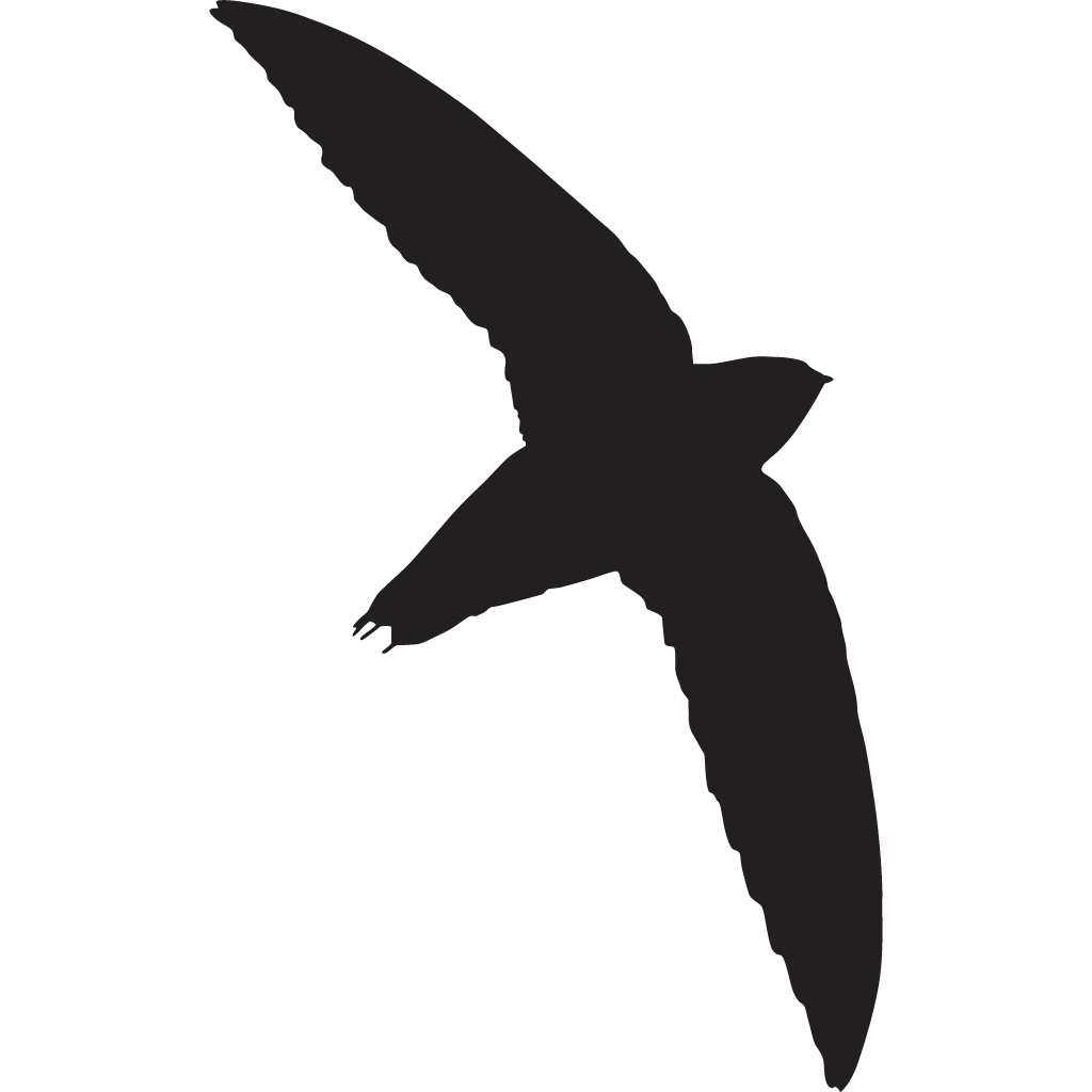 Silhouette swift