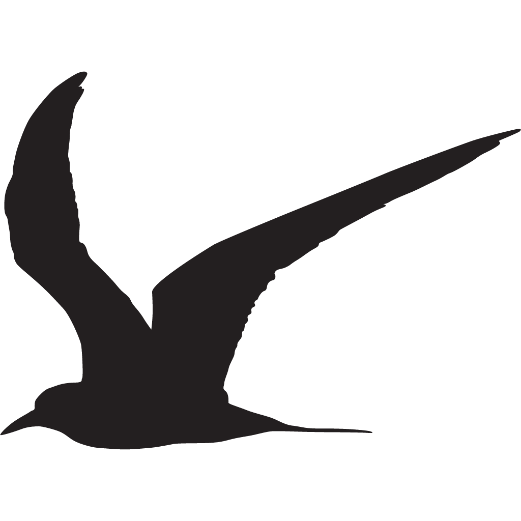 Silhouette Terns
