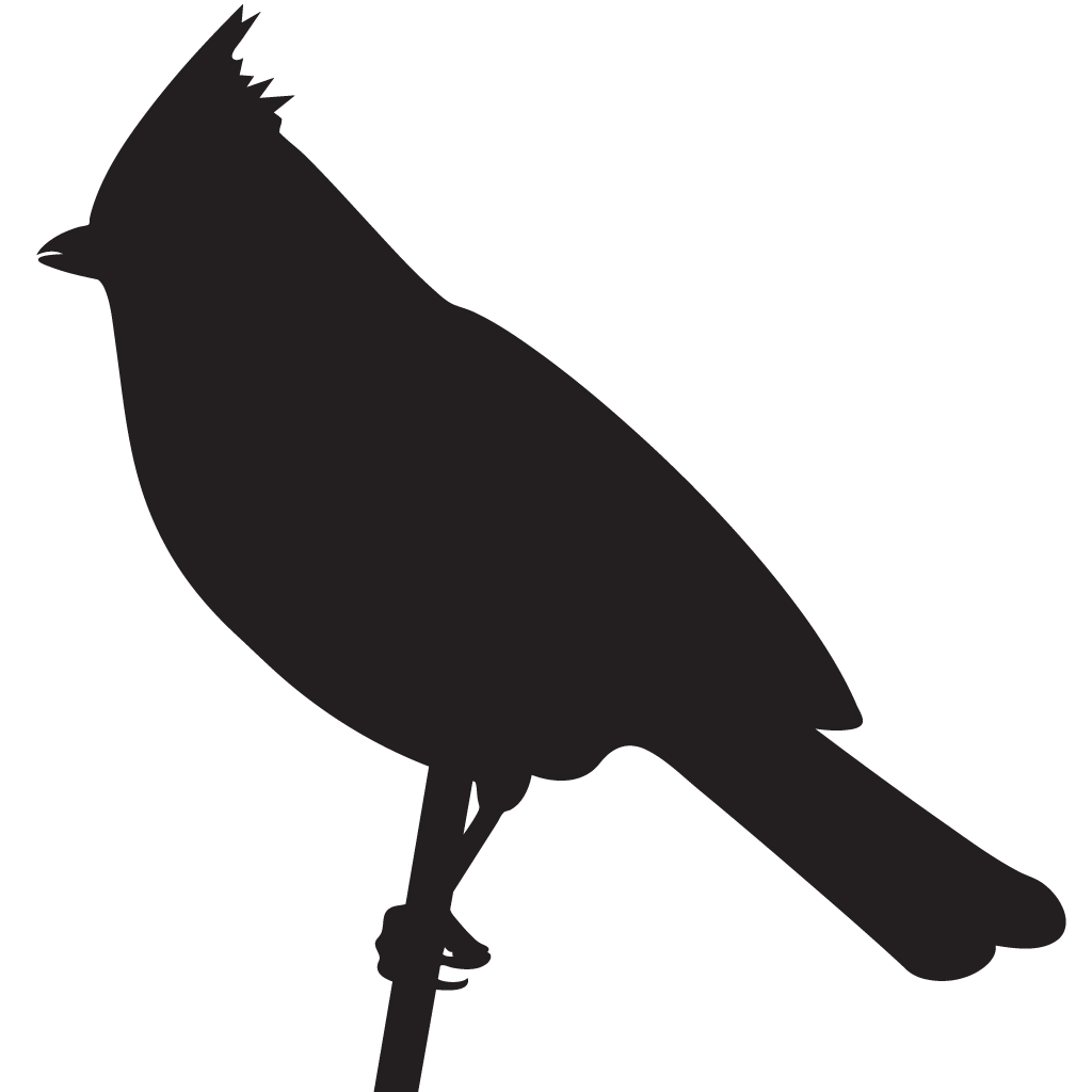 Silhouette Titmice