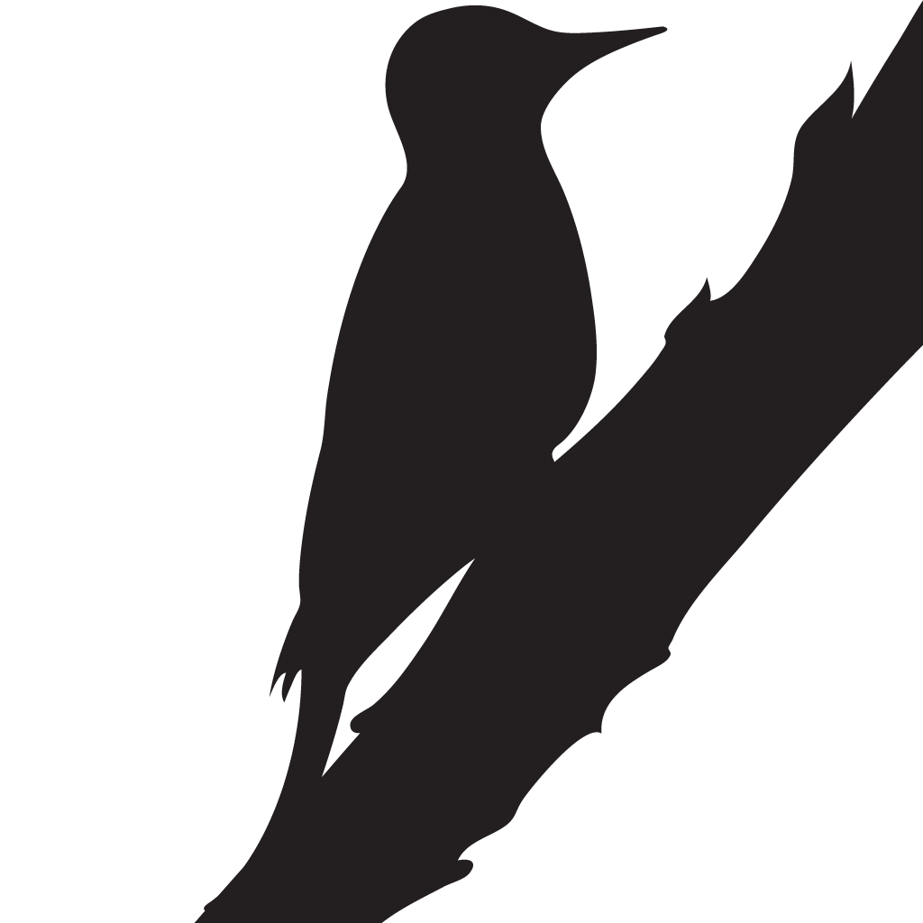 Silhouette Woodpeckers