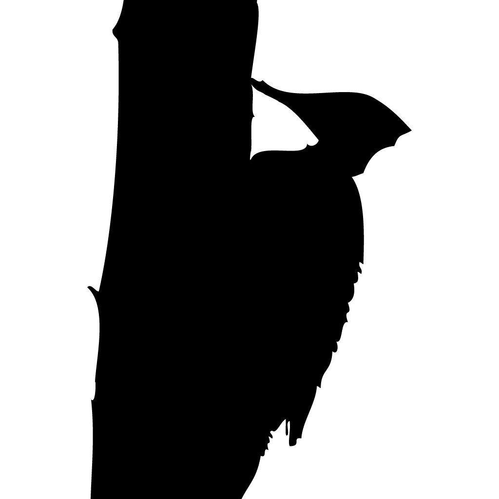 Silhouette Woodpeckers