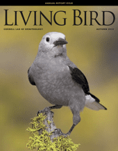 Living Bird, autumn 2015