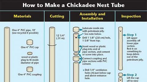 You Asked For It: How to Make a Chickadee Nest Tube