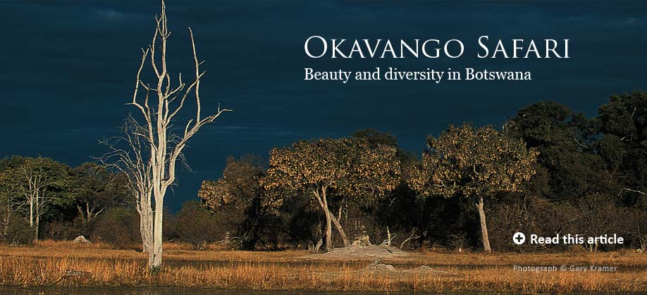 living bird winter 2009 table of contents okavango safari