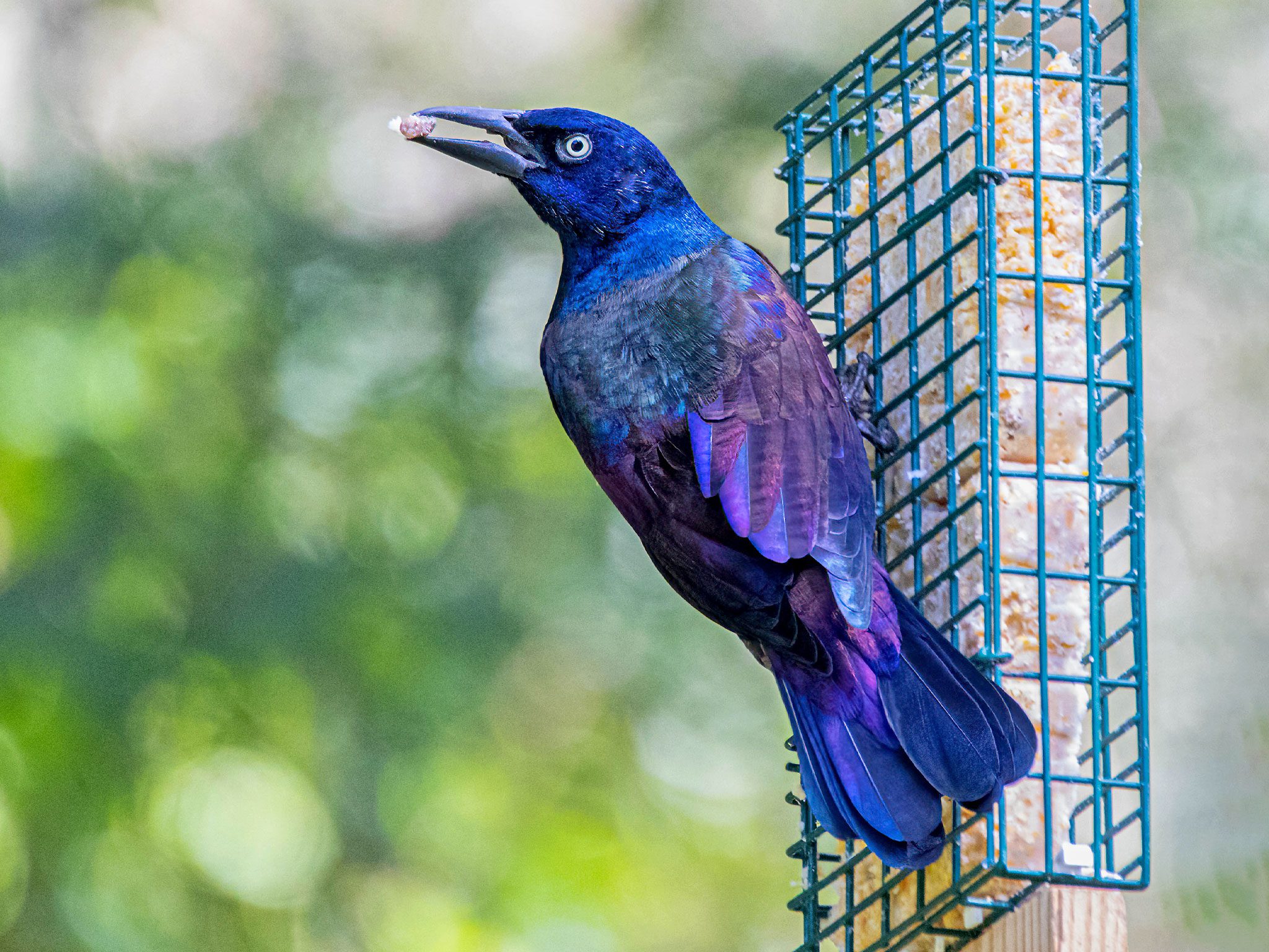 Most-Used Newborn Essentials - Eating Bird Food