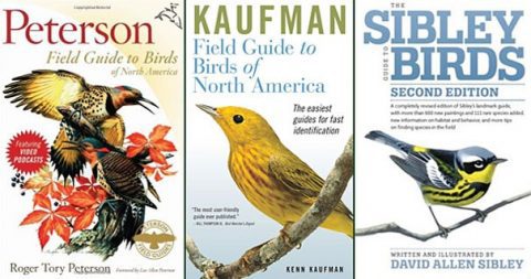 There are a variety of field guides to chose from. Peterson Field Guide to Birds of North America, The Sibley Guide to Birds, and The Kaufman Field Guide to Birds of North America are all good choices.
