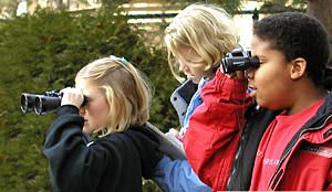 children using binoculars to watch birds. Photo by Katie Humason.