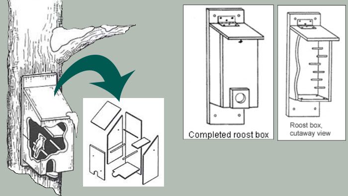 You can provide roost boxes for birds during the cold months. They have a different design than nest boxes, with lots of perching options, so many birds can cluster together for warmth. Illustrations from the Winter roost plans from the Pennsylvania Game Commission, and Uncle Dave