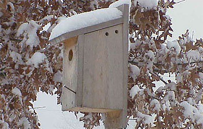 Nest box in winter by Tammie Sanders/PFW, https://nestwatch.org/connect/news/winter-proofing-your-birdhouse/