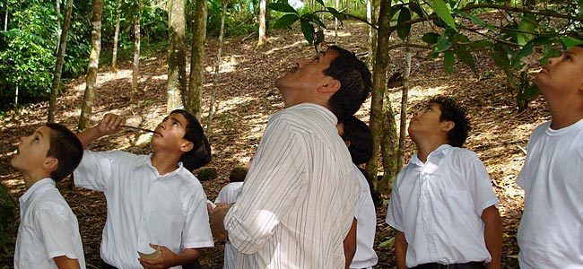 Costa Rican students go bird watching