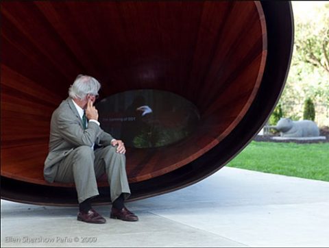 Lab Director John Fitzpatrick contemplates “What Is Missing?” by Maya Lin.