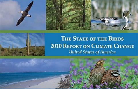 cover of the 2010 State of the Birds Report.