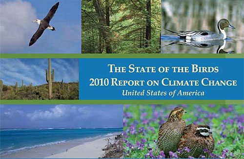 cover of the 2010 State of the Birds Report.