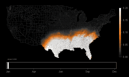 Animated map showing annual movement of the Eastern Phoebe