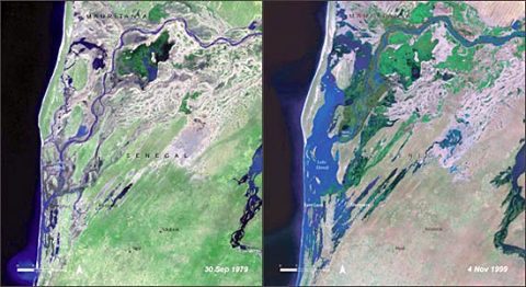 At the International Ornithological Congress, Wesley Hochachka heard about plans to use Landsat satellite data to find out how Important Bird Areas in Africa are faring through the years