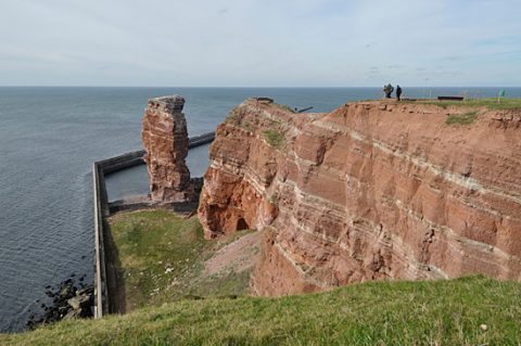 Helgoland hosts the 143rd meeting of the Deutschen Ornithologen-Gesellschaft—the German Ornithologists’ Society