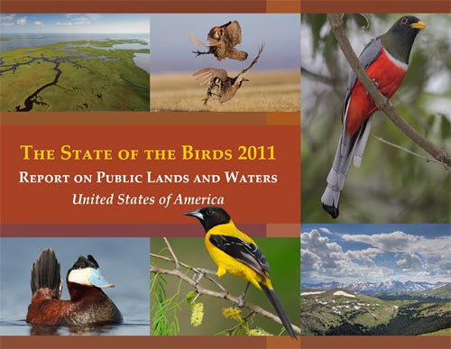 2011 State of the Birds report cover
