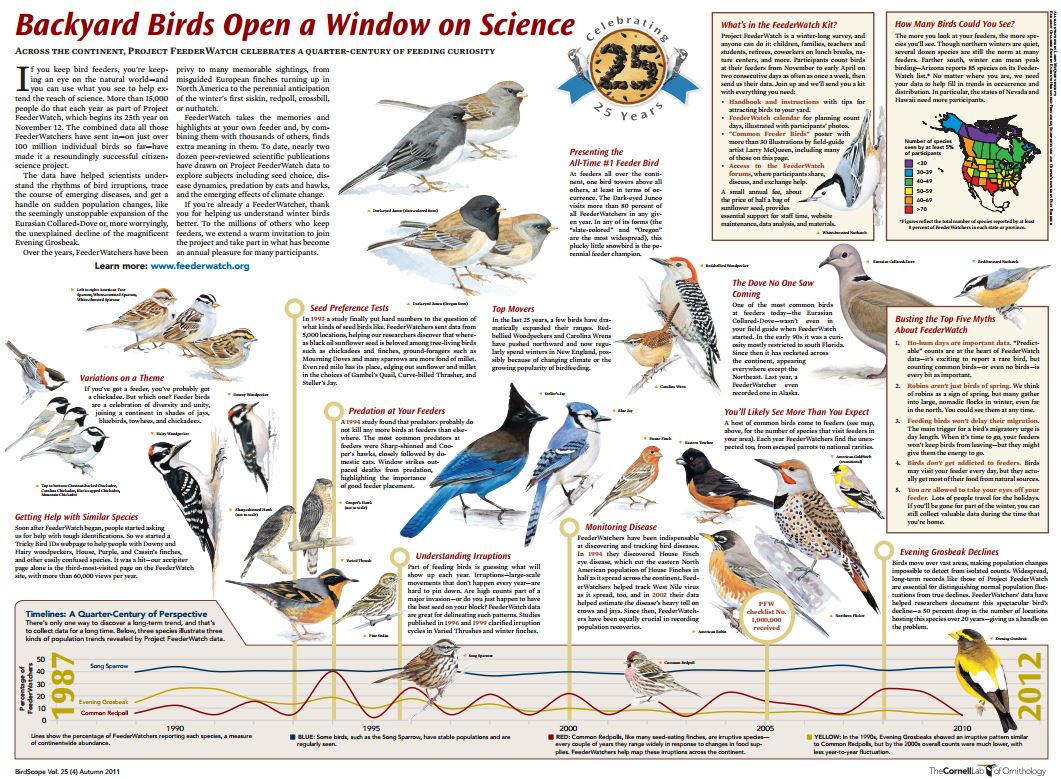 Download the PDF of the backyard birds poster